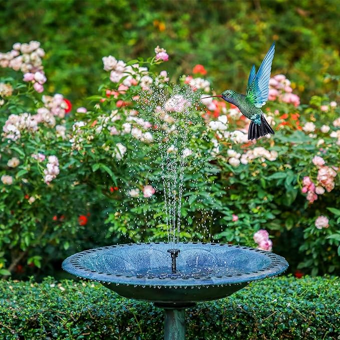 🔥Last Day Promotion 70% OFF🔥Solar-Powered Bird Fountain Kit