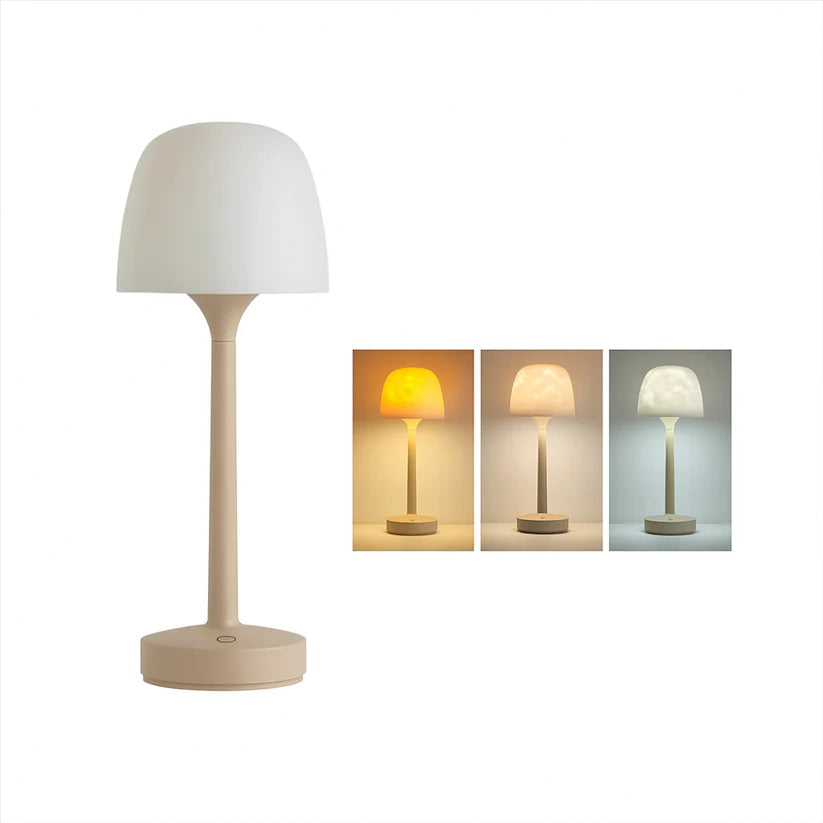 💡🪼IP65 Waterproof Rotating Aurora Water Ripple Desk Lamp