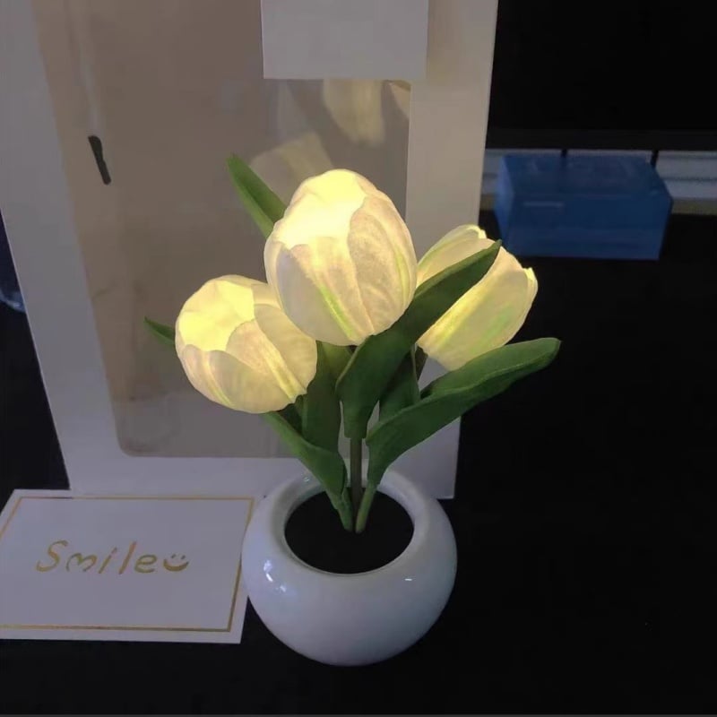 ✨FREESHIPPING🌷LED Night Light – Tulip Design with Vase