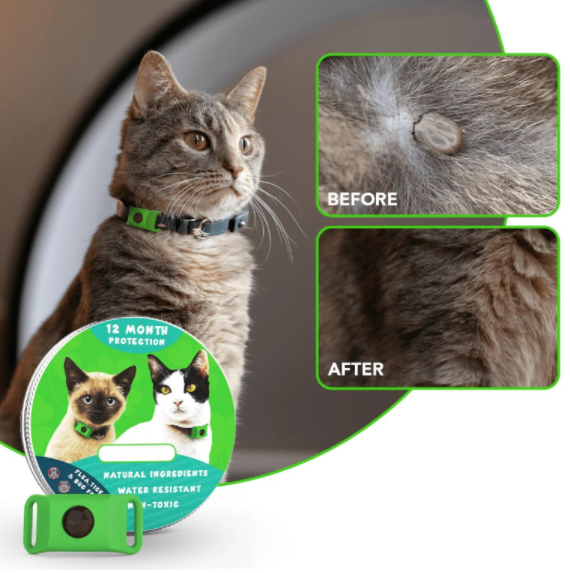 ⏰Last Day 70% OFF-🐕12 Months Flea and Tick Free