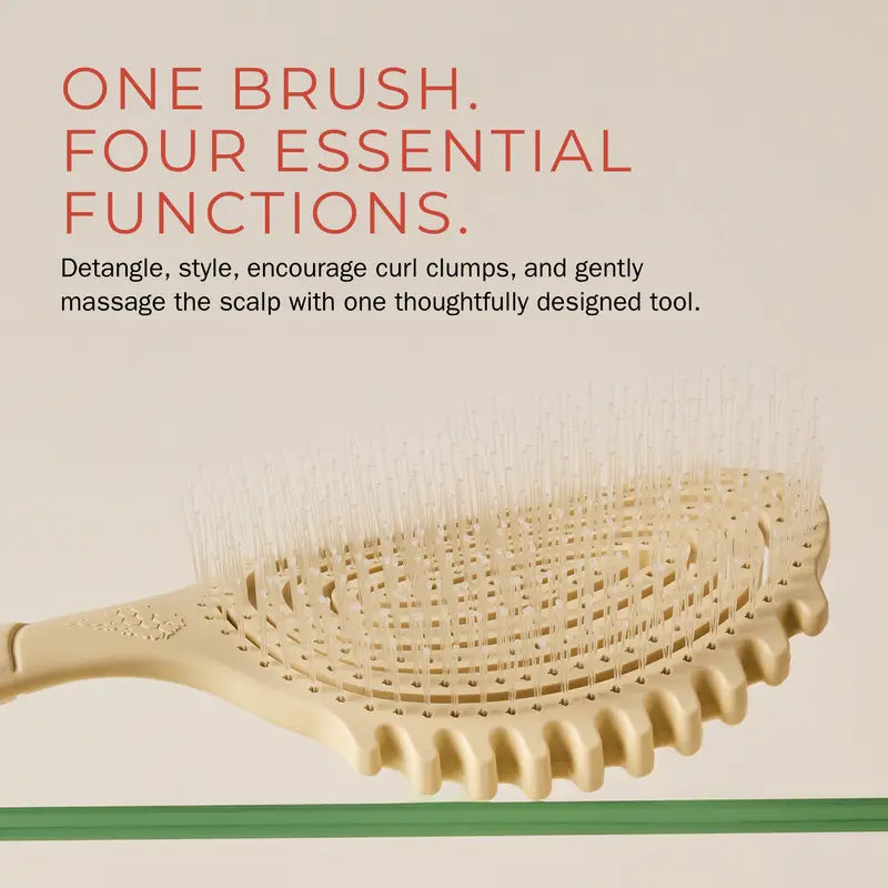 4 - PACK Detangle Define EdgeLift Brush
