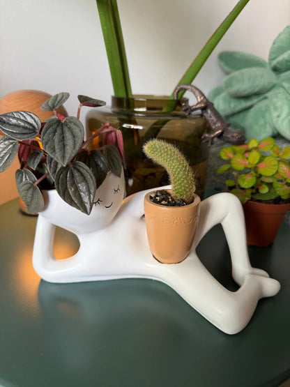 🏆Flash Sale⚡50K+ SOLD!😂Lazy Guy Pot🌵