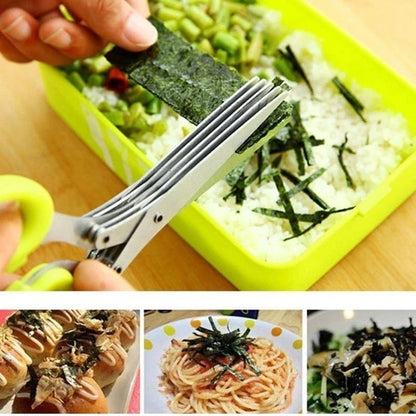 Stainless Steel 5 Blades Scallion Cutter Scissors✂️