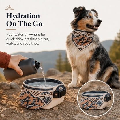 2-in-1 Reversible Dog Bandana Bowl
