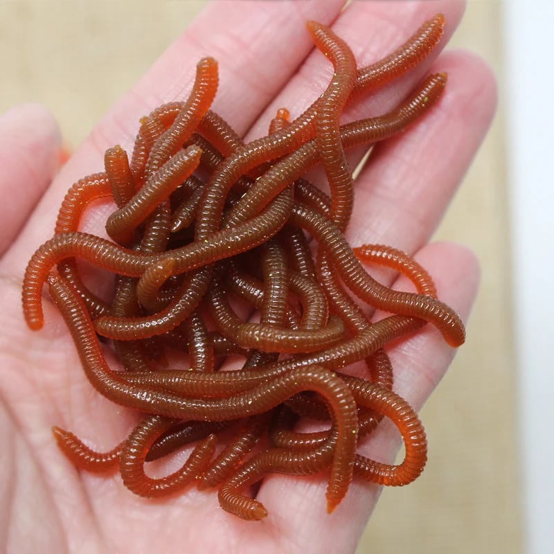 📢📢Simulation Earthworm Soft Fishing Lures Shrimp Scented Artificial Worm Baits for Freshwater and Saltwater Pack of 50 or 100