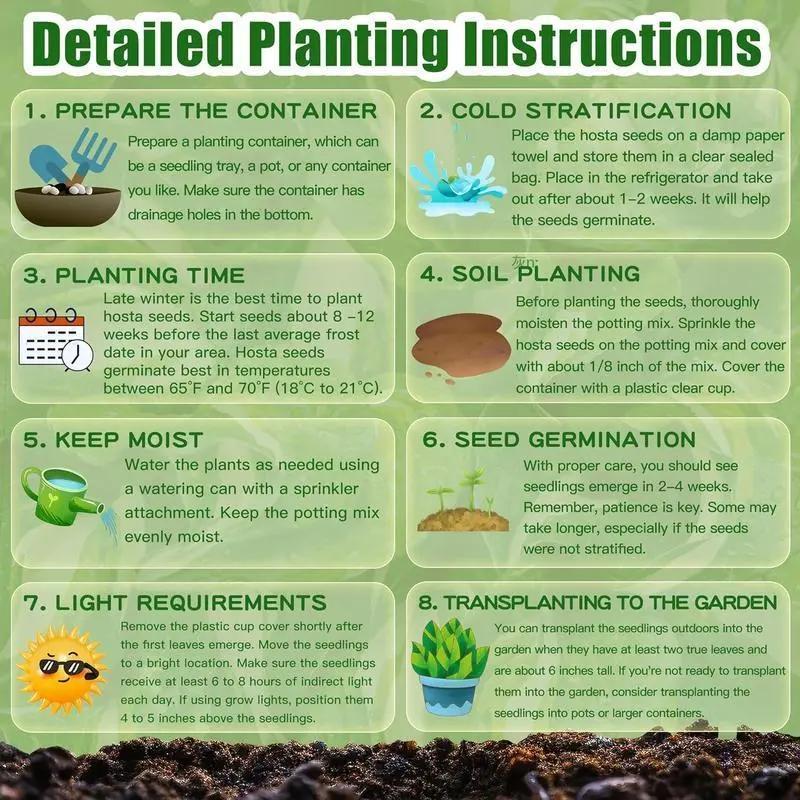 💥2026 Hot Sale 🌌Hosta Seeds Perennial Shade Plant for Garden