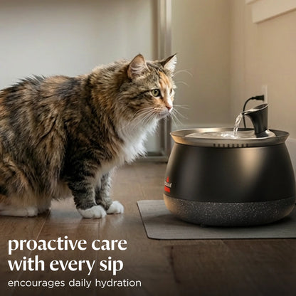 Cat Water Fountain – Fresh, Filtered Water with Ultra-Quiet Wireless Pump