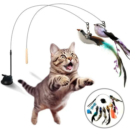 💖Cat Toy Wand Auto Interactive Toys for Indoor Cat 8 in 1 Hands-Free Natural Bird Feather Ball Toys