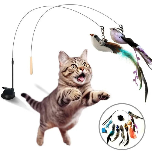 💖Cat Toy Wand Auto Interactive Toys for Indoor Cat 8 in 1 Hands-Free Natural Bird Feather Ball Toys