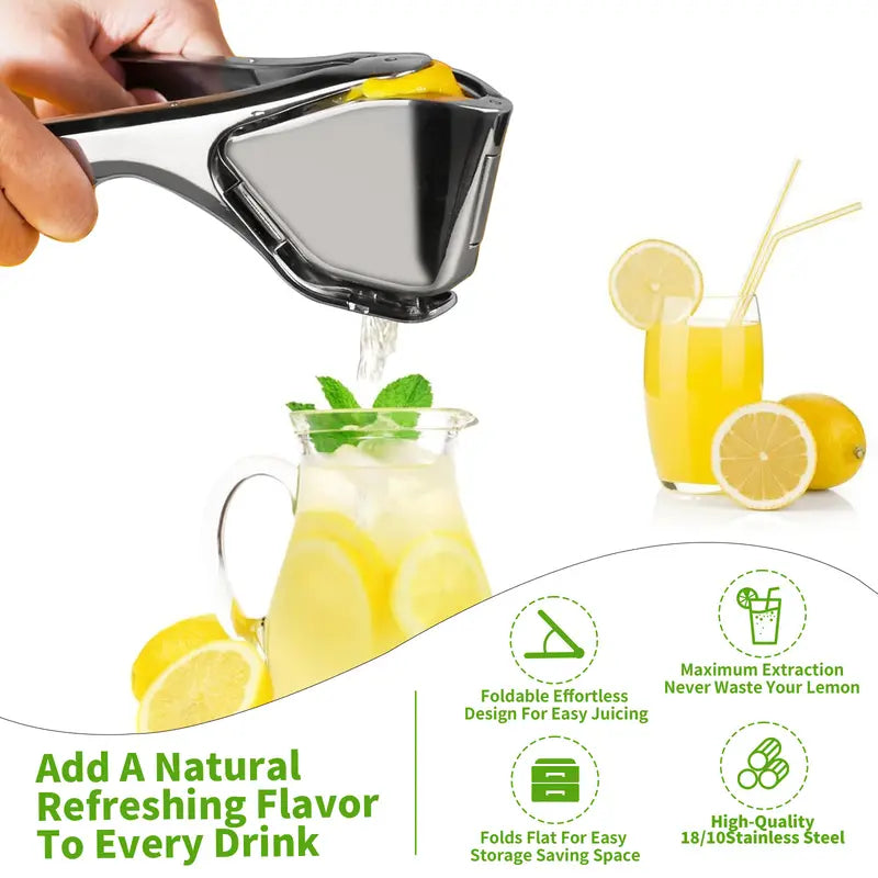 Stainless Steel Citrus Juicer