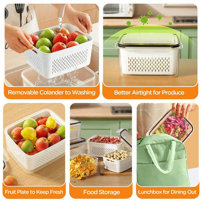 Selyn™ Fruit & Vegetable Storage Box Set (4-Count🍒🥝Free Shipping)