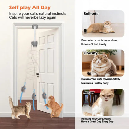 Electric Cat Teaser Toy