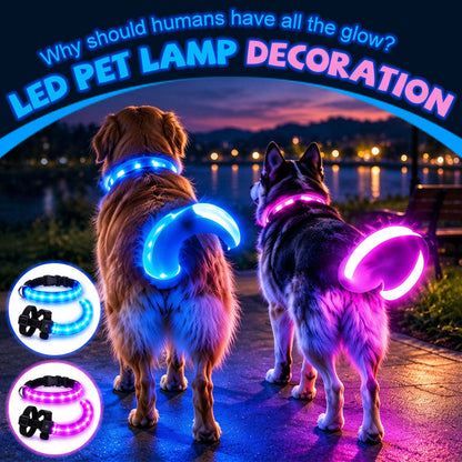 LED Dog Collar & Light-Up Tail Set
