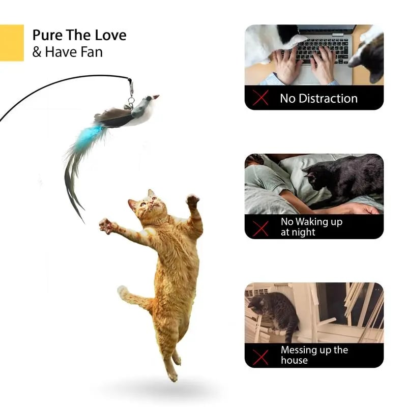 💖Cat Toy Wand Auto Interactive Toys for Indoor Cat 8 in 1 Hands-Free Natural Bird Feather Ball Toys