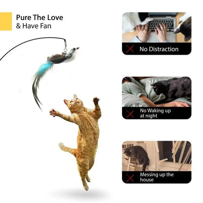 💖Cat Toy Wand Auto Interactive Toys for Indoor Cat 8 in 1 Hands-Free Natural Bird Feather Ball Toys