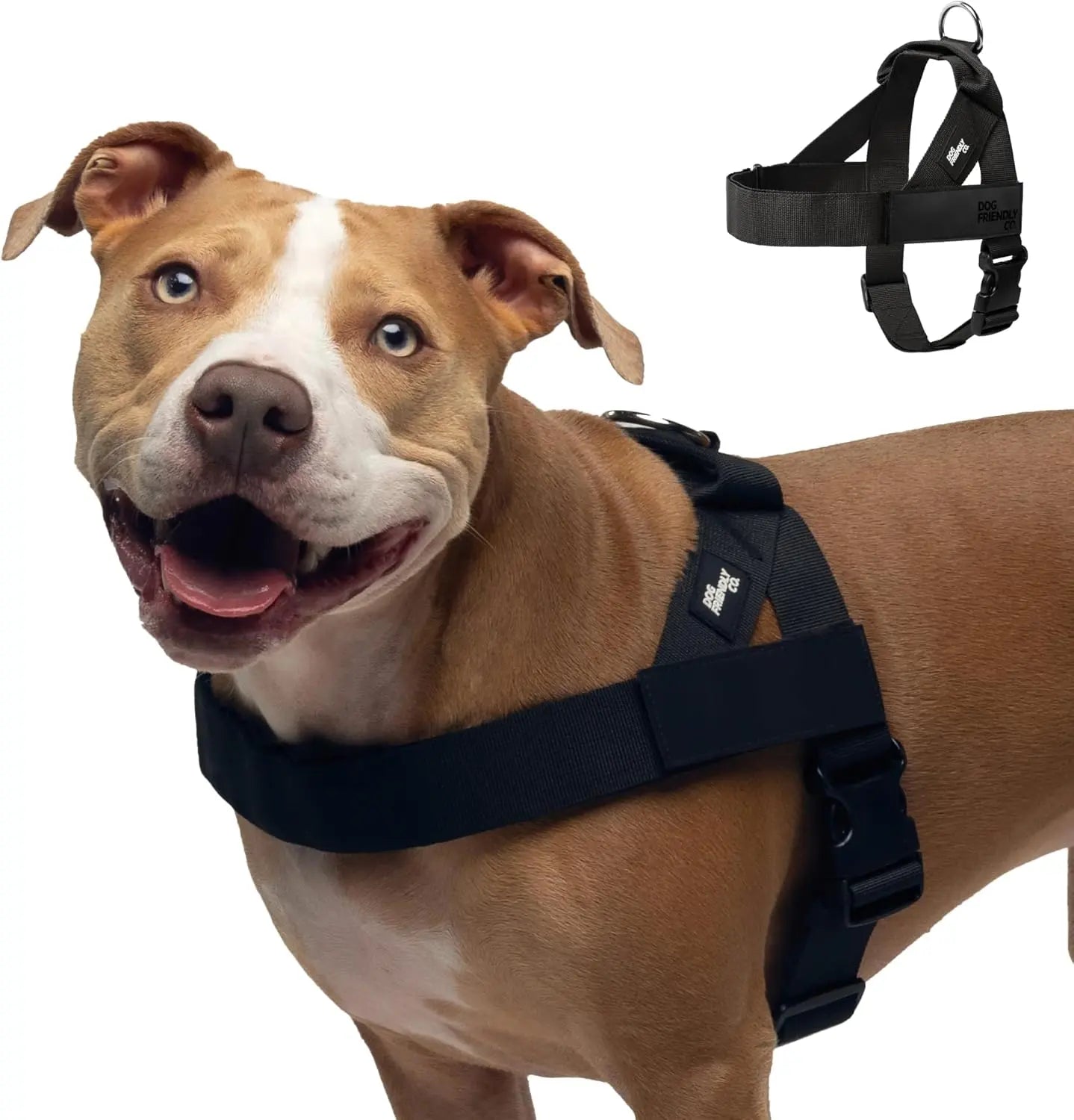 🐾 Dog Friendly Co. Harness– Safe, Secure & Ultra-Comfortable Fit for All Dogs