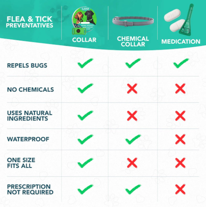 ⏰Last Day 70% OFF-🐕12 Months Flea and Tick Free