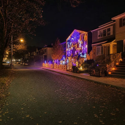 🎄✨Christmas LED House Net & Smart Outdoor Wall Curtain Light