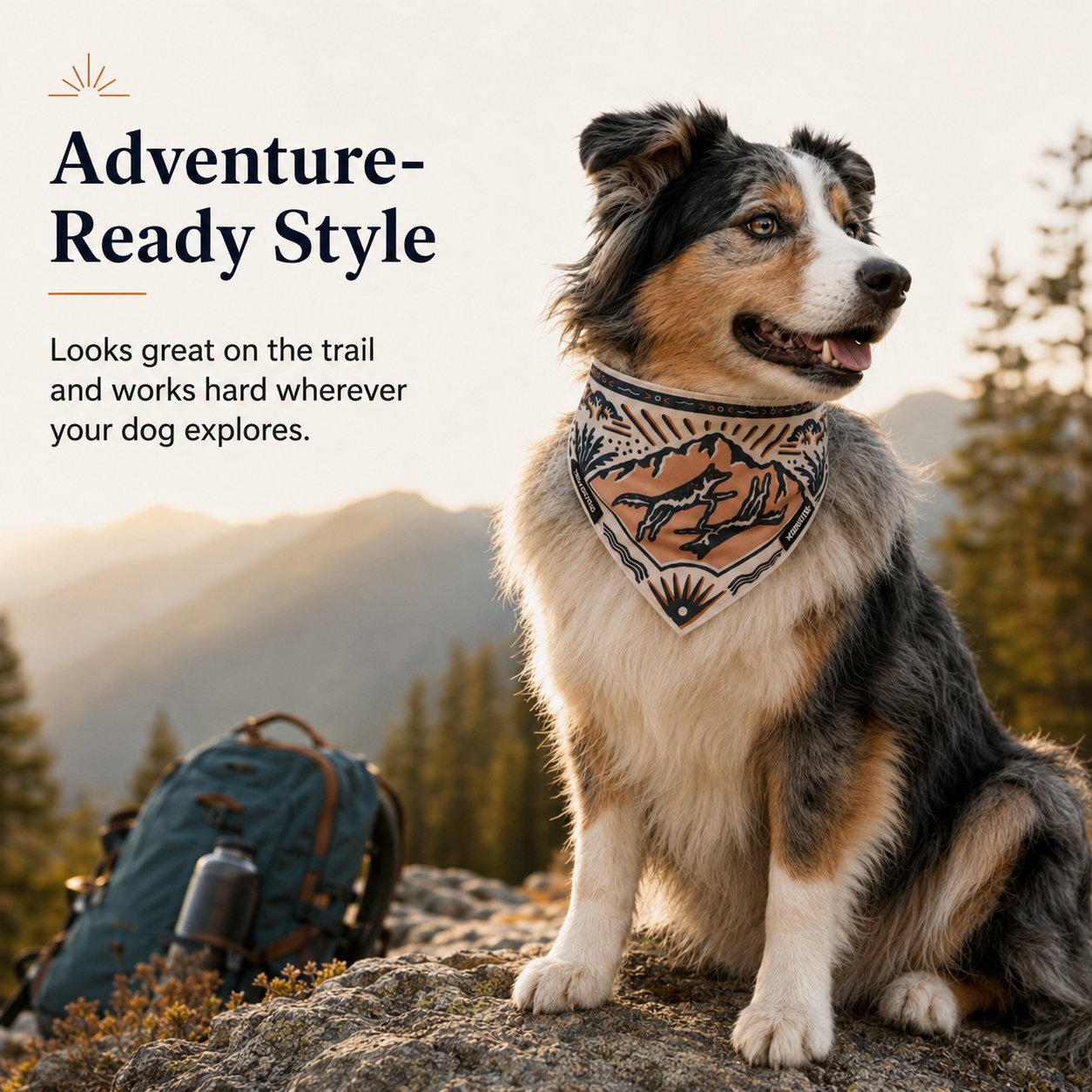 2-in-1 Reversible Dog Bandana Bowl