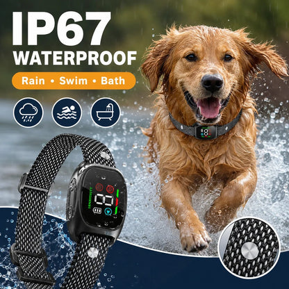 🛡️🐾 Anti Bark Collar – Smart anti‑false triggering filters out other barks. IP67 waterproof & USB rechargeable – worry‑free training anywhere! 💦✅