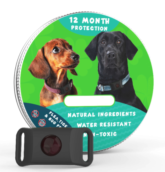 ⏰Last Day 70% OFF-🐕12 Months Flea and Tick Free
