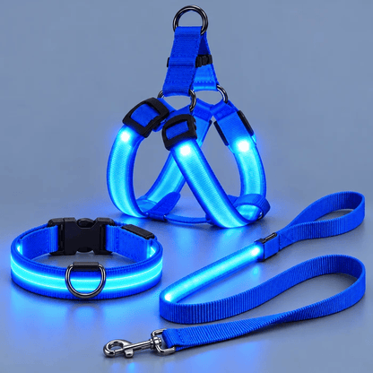 🐕 3-Piece Rechargeable LED Dog Walking Kit ✨ Light-Up Harness, Collar & Leash for Safer Night Walks！！！