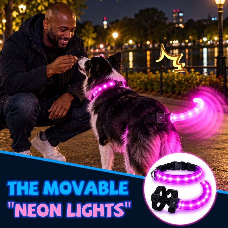 LED Dog Collar & Light-Up Tail Set