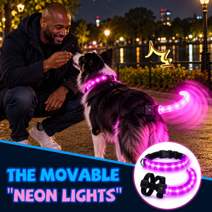 LED Dog Collar & Light-Up Tail Set