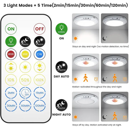 Rechargeable Motion Sensor Ceiling Lamp