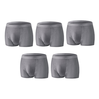 🔥 Bestseller Premium Leakproof Ice Silk Mesh Men's Boxer Briefs