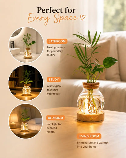 LED Plant Propagation Vase with Wooden Base