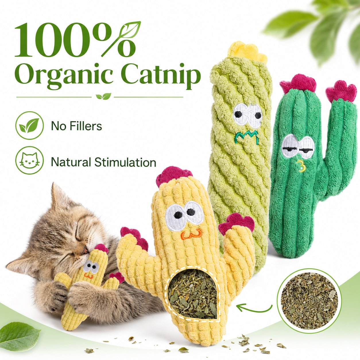 🌵 5 Pack Organic Catnip Cactus Cat Toys | Soft Plush Chew Toys for Indoor Kittens & Adult Cats! 🐱