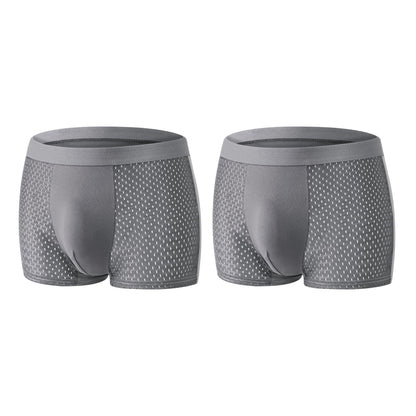 🔥 Bestseller Premium Leakproof Ice Silk Mesh Men's Boxer Briefs
