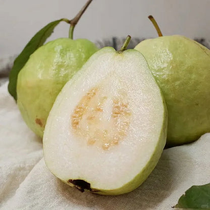 🔥Buy 2 Save 10%💚Organic Guava Seeds🌱 Easy Grow
