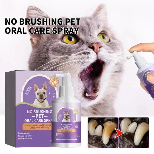 🍃No-Brushing Oral Care Spray for Dogs & Cats