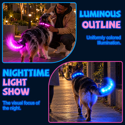 LED Dog Collar & Light-Up Tail Set
