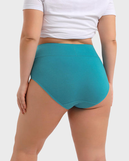 Full-Figured High-Waisted Comfort Underwear 4-Pack