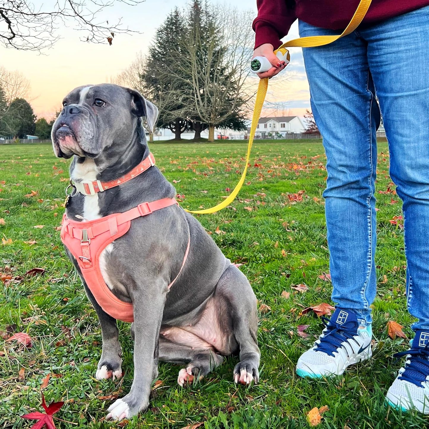 🐕‍🦺Quick-Control Dog Leash - Adjustable Traffic Leash with Reflective Design