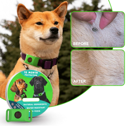 ⏰Last Day 70% OFF-🐕12 Months Flea and Tick Free