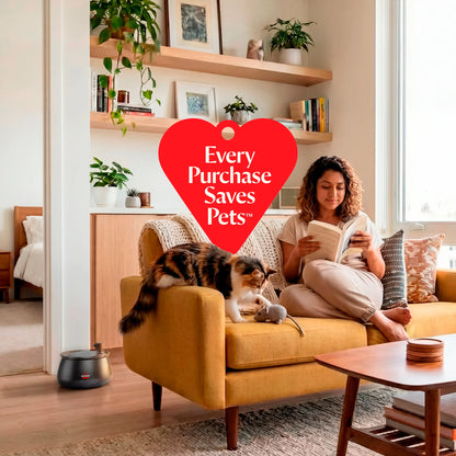 Cat Water Fountain – Fresh, Filtered Water with Ultra-Quiet Wireless Pump