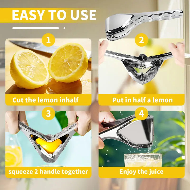 Stainless Steel Citrus Juicer