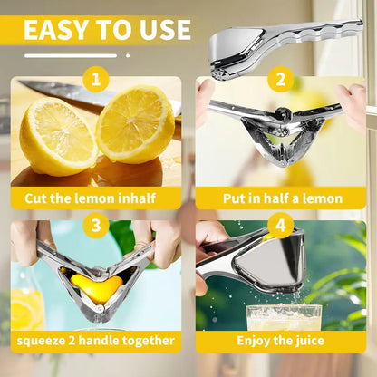 Stainless Steel Citrus Juicer
