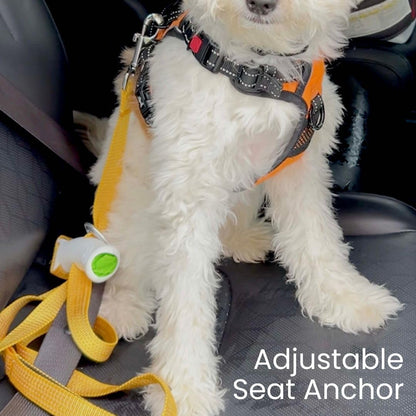 🐕‍🦺Quick-Control Dog Leash - Adjustable Traffic Leash with Reflective Design