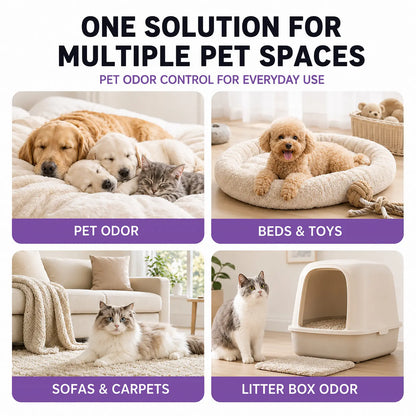 Pet Odor Eliminator & Stain Remover Spray
