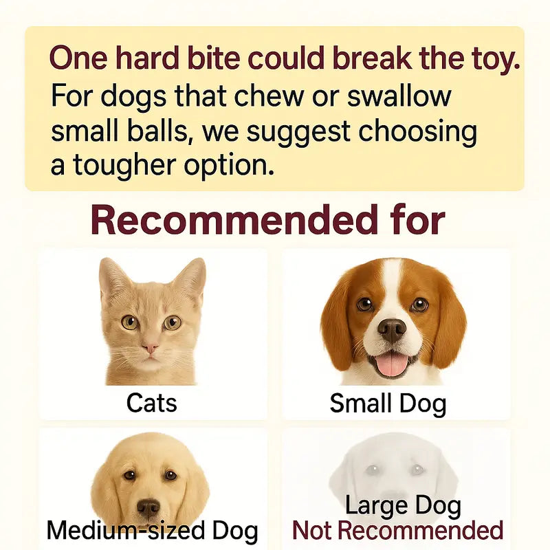 Interactive Cat & Dog Teaser Toy