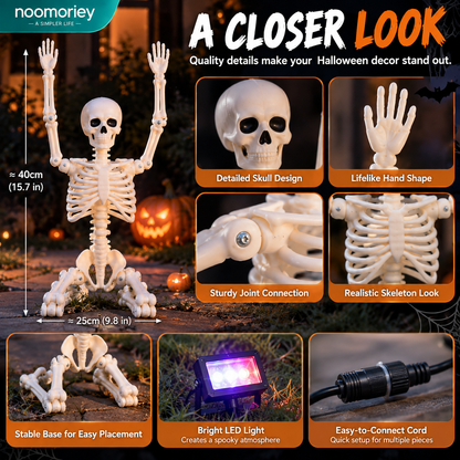 🎃💀 Spooky Crew – Halloween Skeleton Decorations