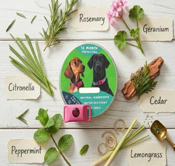 ⏰Last Day 70% OFF-🐕12 Months Flea and Tick Free