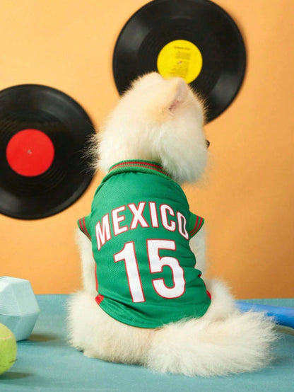⚽🐾 2026 North America Football Fan Pet Jersey