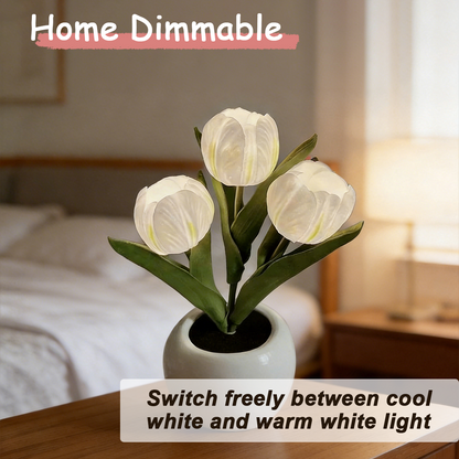 ✨Buy 2 free shipping 🌷Tulip LED Night Light with Vase