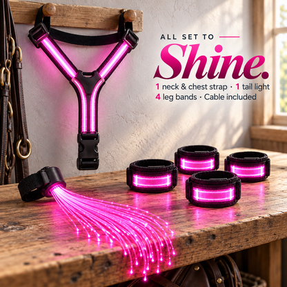 ✨49% OFF🌈🐎 Ride in Color! LED Horse Light Set – Blue, Green & Pink